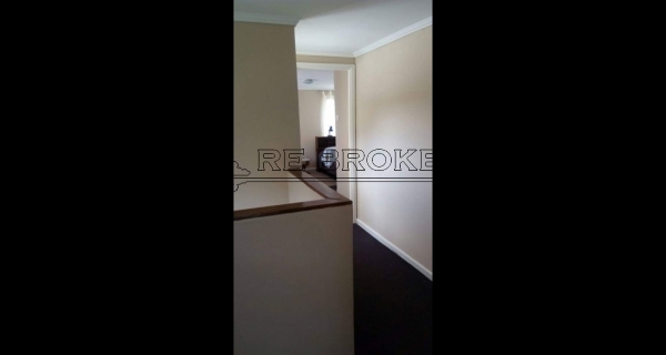 PHOTO-2020-07-22-20-51-23 2