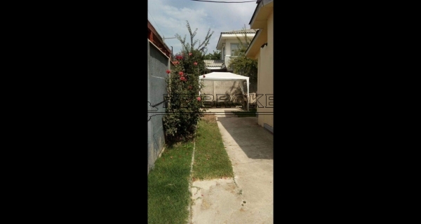 PHOTO-2020-07-22-20-51-23 3