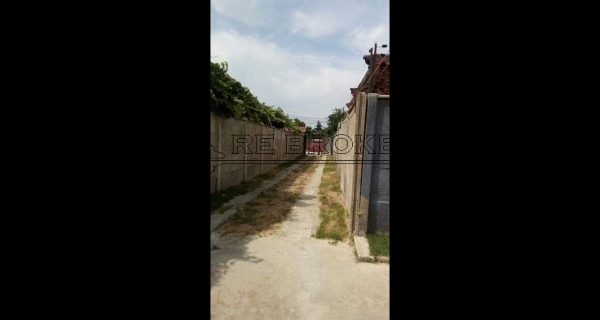 PHOTO-2020-07-22-20-51-23 5