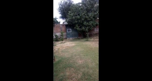 PHOTO-2020-07-22-20-51-24 4