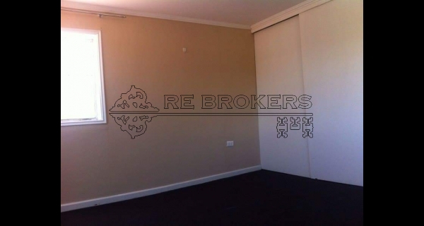 PHOTO-2020-07-22-20-51-26 4