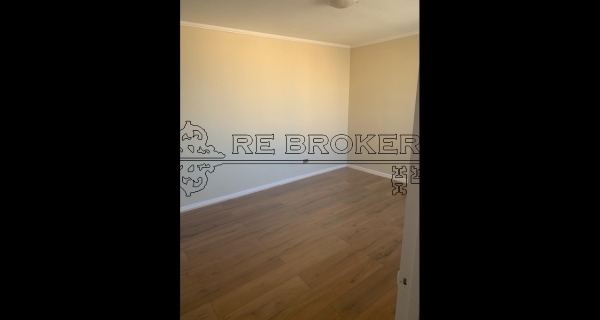 PHOTO-2020-07-22-19-08-59 3