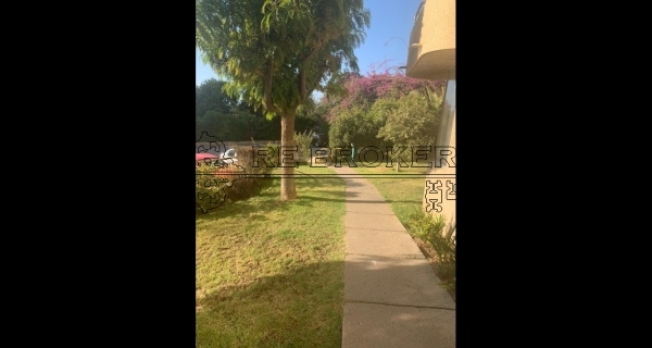 PHOTO-2020-07-22-19-09-00 5