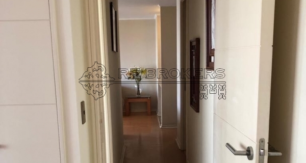 109354043_2769346403285323_1125538621444769946_n