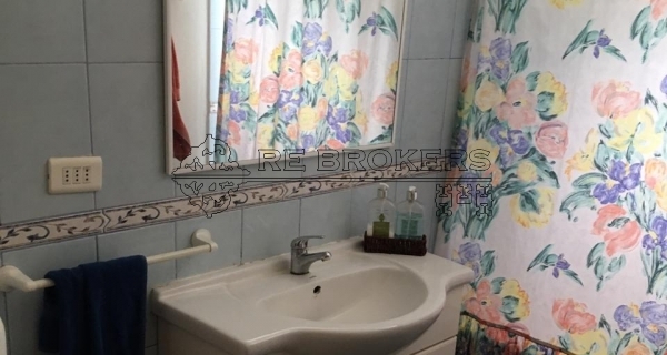 PHOTO-2020-08-11-21-12-51-1